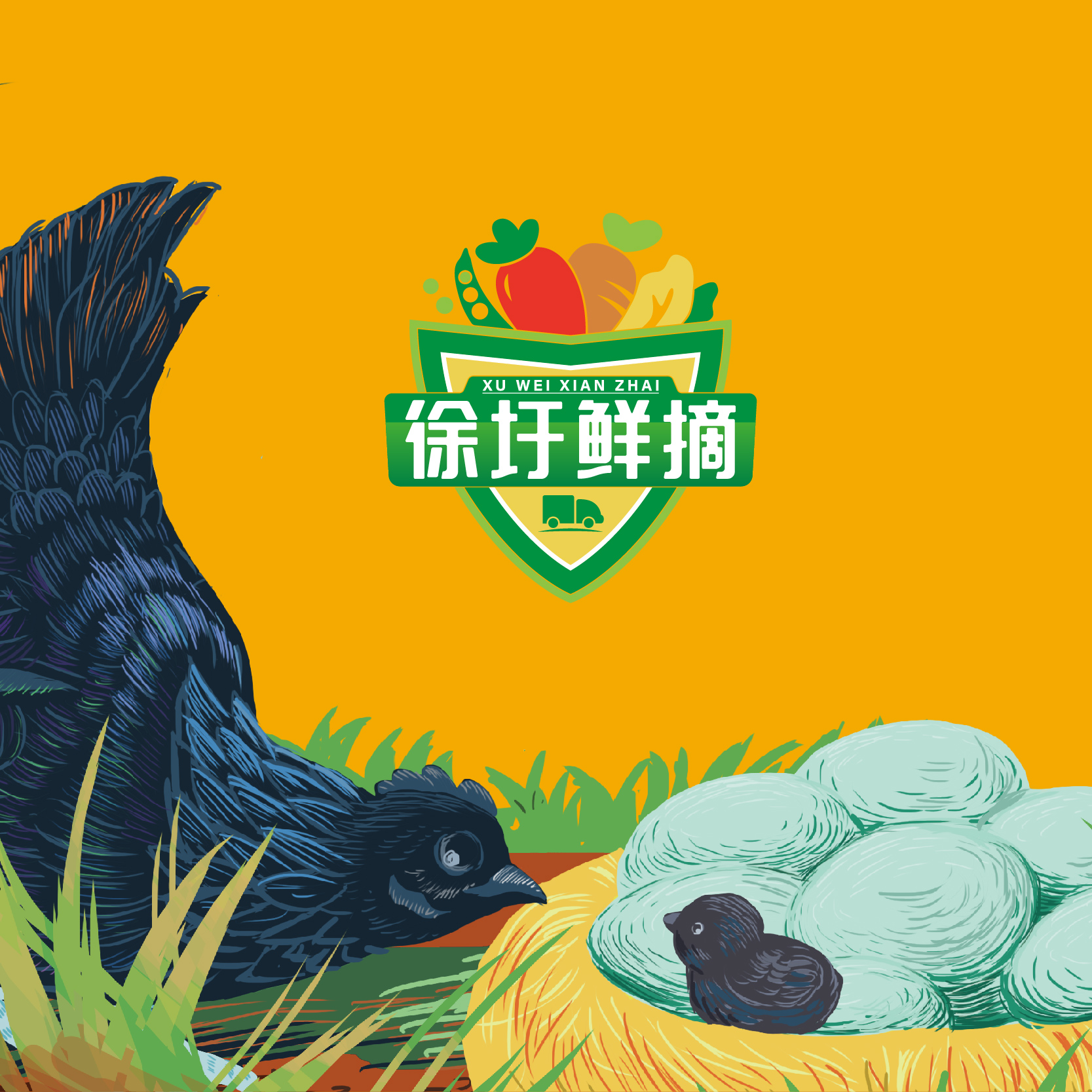 徐圩鮮摘區(qū)域品牌全案策劃