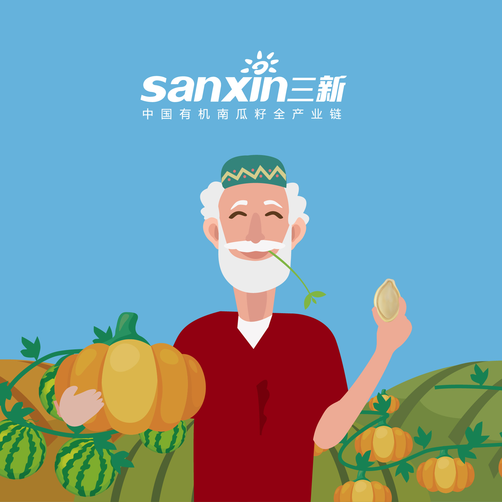 新疆三新南瓜籽產(chǎn)業(yè)品牌全案策劃